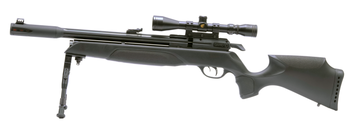 Gamo Arrow Pressluftgewehr 4,5 mm mit Zweibein und Zielfernrohr