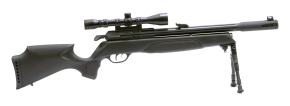 Gamo Arrow Pressluftgewehr 4,5 mm mit Zweibein und Zielfernrohr